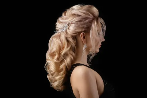 Franck Provost Salon Background